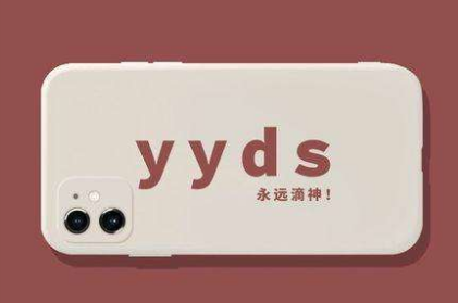 你456了吗什么意思(yyds和456什么意思)-第2张图片-波音达百科