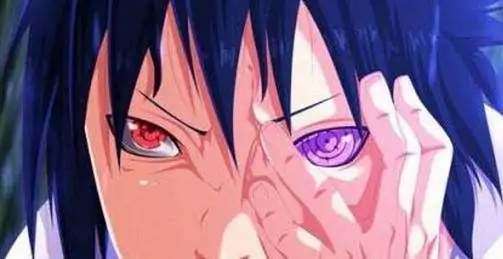 宇智波斑用的什么武器?宇智波斑拿的是什么武器的图片-第11张图片-波音达百科