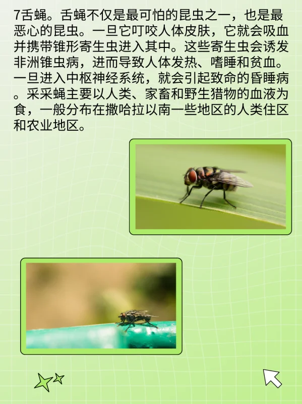 世界禁用的十大子弹(世界十大禁用枪支有什么?)-第9张图片-波音达百科
