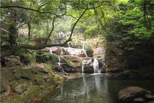 肇庆免费旅游景点大全(肇庆周边的旅游景点大全)-第10张图片-波音达百科