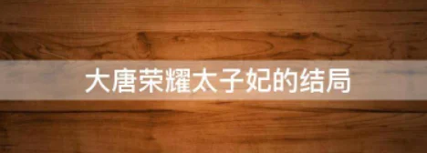 穿越到大唐,成为李承乾太子妃的小说(大唐荣耀太子妃的结局)-第1张图片-波音达百科