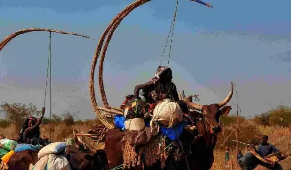 非洲人是怎样生活的呢?他们一般干什么?非洲人的生活习性?-第2张图片-波音达百科 非洲人是怎样生活的呢?他们一般干什么?非洲人的生活习性?-第2张图片-波音达百科