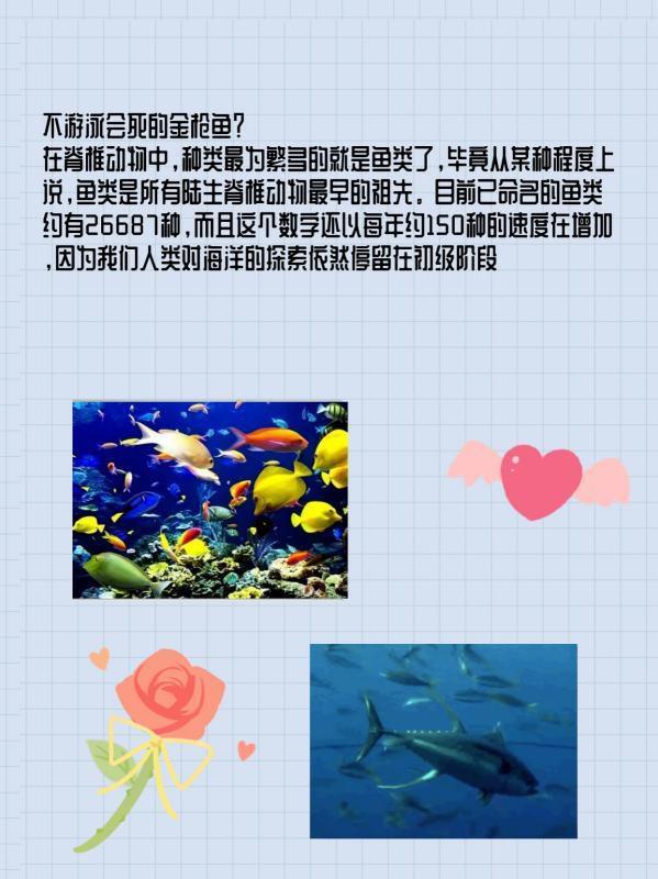 至死方休是什么意思 词语至死方休什么意思(我与人间至死方休什么意思)-第3张图片-波音达百科