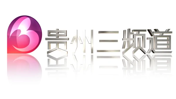 贵州安龙电视台是哪个频道(贵州电视台电视剧频道的介绍)-第1张图片-波音达百科