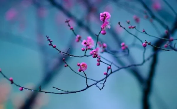 海纳百川是个什么意思 什么是海纳百川的意思-第2张图片-波音达百科