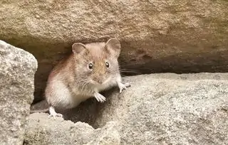 宁夏银川市之一人民医院怎么样(银川市之一人民医院的介绍)-第4张图片-波音达百科