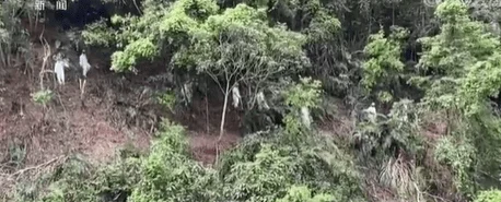 MU5735遇难多少人?东航MU5735坠机,是国内发生最惨烈的空难吗-第4张图片-波音达百科