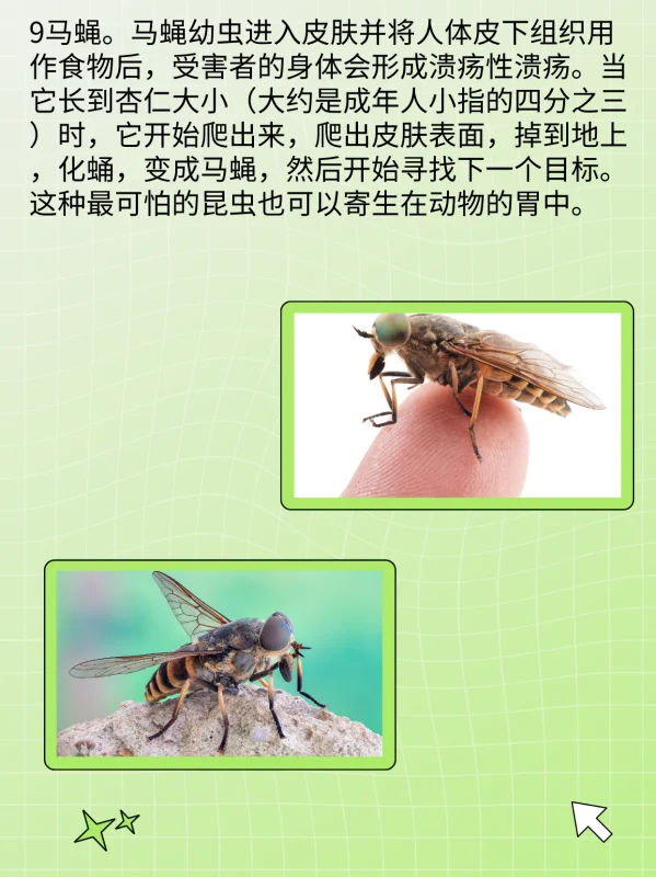 世界禁用的十大子弹(世界十大禁用枪支有什么?)-第11张图片-波音达百科