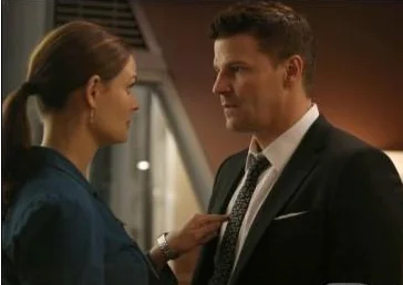 识骨寻踪第八季剧情 识骨寻踪第八季简介(《识骨寻踪 第八季》在哪能免费看)-第2张图片-波音达百科