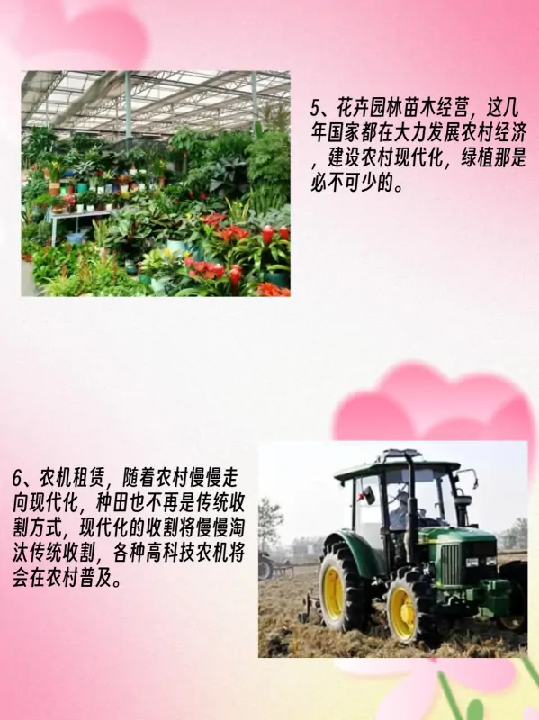 未来农村10个大暴利行业(未来10大暴利行业可能有哪些?)-第4张图片-波音达手游百科