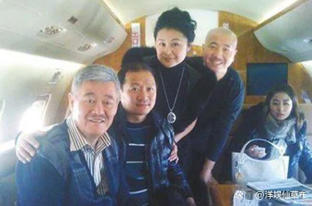 赵本山怎么了?赵本山有多少钱赵本山怎么了 赵本山要“出事”了吗-第25张图片-波音达百科