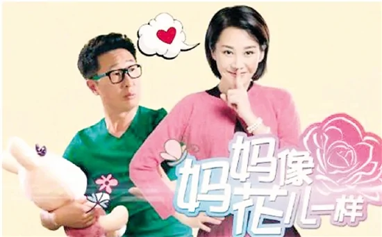 与《甜蜜蜜》《幸福像花一样》一类的电视剧还有哪些-第3张图片-波音达百科