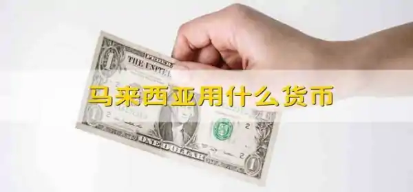 马来西亚的货币叫什么?马来西亚用什么货币 马来西亚是什么币种-第1张图片-波音达百科