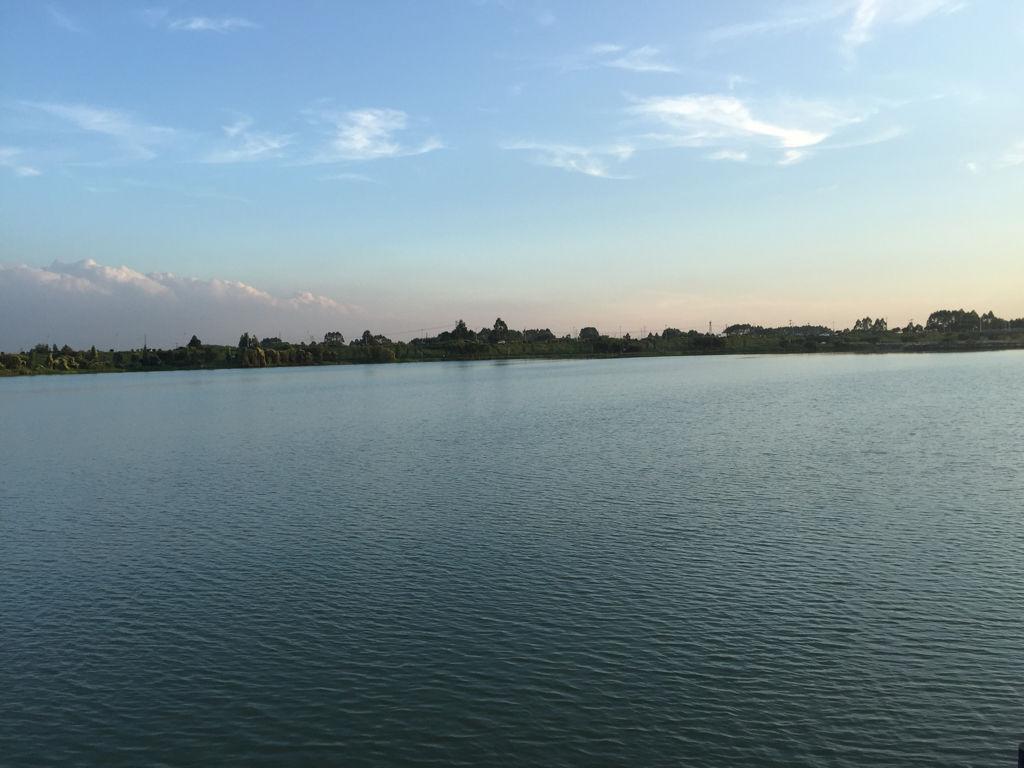 菜市场周边做什么生意好?菜市场楼上做什么生意好-第1张图片-波音达百科