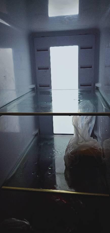 新飞冰箱质量怎么样_好吗(新飞冰箱质量怎么样新飞冰箱报价)-第1张图片-波音达百科