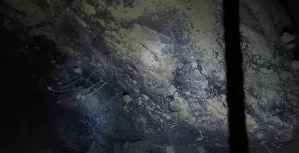 南极冰层下发现不明生物,它来自哪里?是如何生存的?-第10张图片-波音达百科