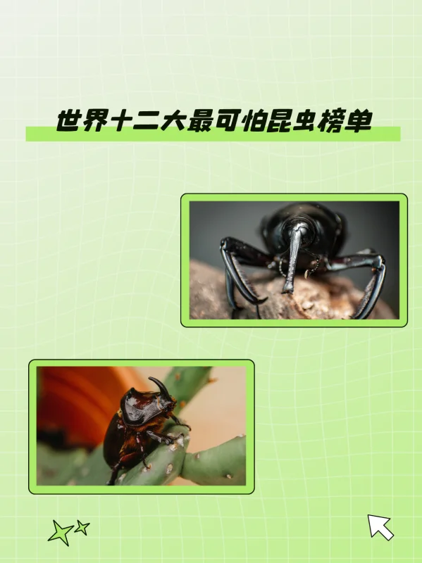 世界禁用的十大子弹(世界十大禁用枪支有什么?)-第2张图片-波音达百科