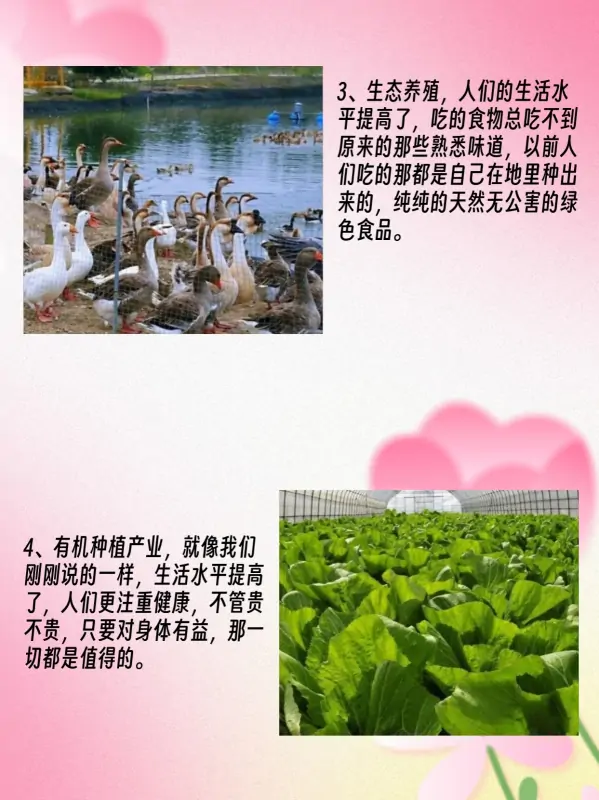 未来农村10个大暴利行业(未来10大暴利行业可能有哪些?)-第3张图片-波音达手游百科