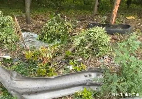 沪蓉高速为什么叫沪蓉-第5张图片-波音达百科