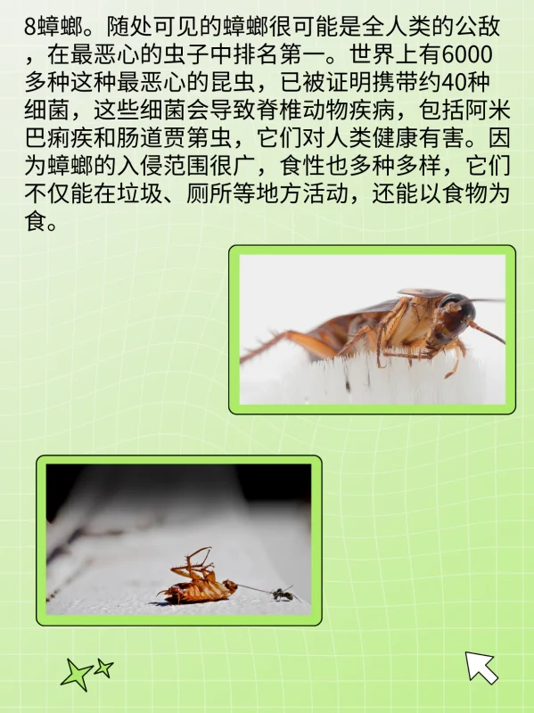 世界禁用的十大子弹(世界十大禁用枪支有什么?)-第10张图片-波音达百科