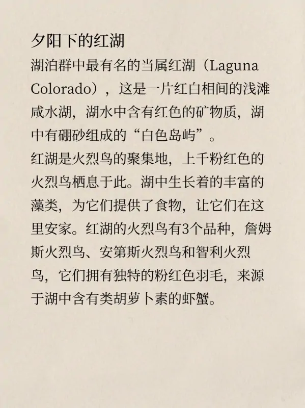 乌尤尼盐湖在哪里?有什么关于乌尤尼盐湖的传说-第8张图片-波音达百科