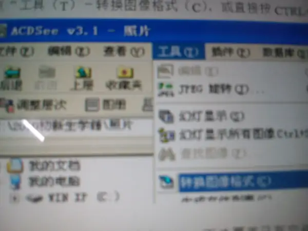 acdsee3.1破解版 acdsee3.1汉化中文版-第2张图片-波音达百科