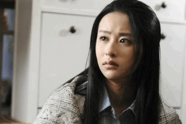 电视剧《千山暮雪》的内容是?如何评价电视剧千山暮雪?-第5张图片-波音达百科