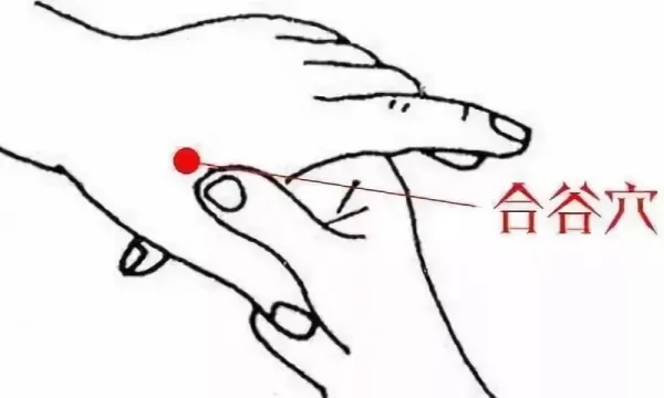 内关的准确位置在哪?内关的准确位置图 艾灸内关的作用与好处-第5张图片-波音达百科