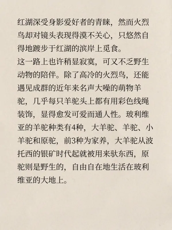 乌尤尼盐湖在哪里?有什么关于乌尤尼盐湖的传说-第9张图片-波音达百科