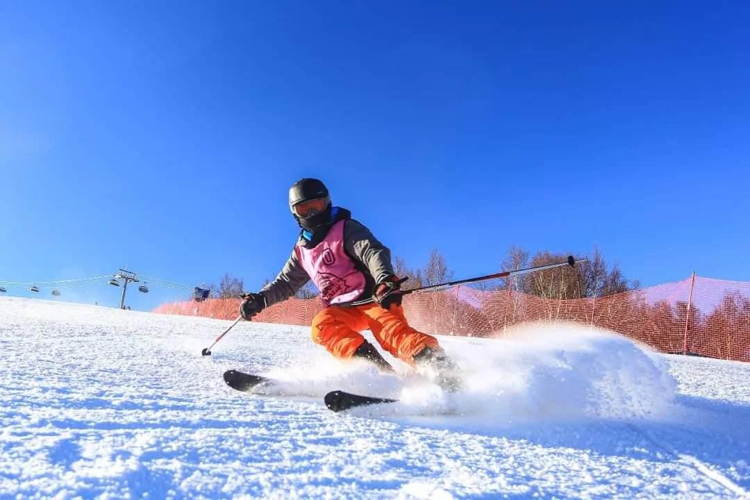 滑雪谷爱凌的爸爸和妈妈离婚了嘛-第3张图片-波音达百科