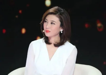 如何评价央视主持人李思思?央视主持人李思思的胸多大-第8张图片-波音达百科