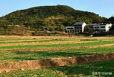 国家土地流转政策是怎样的(土地流转政策的作用)-第10张图片-波音达百科