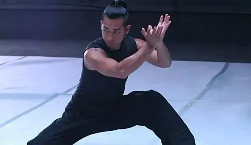 中国历届武术冠军?中国驻联合国历届代表人员名单-第5张图片-波音达百科