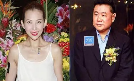 蔡少芬刘銮雄 刘銮雄怎么评价蔡少芬(刘銮雄讽刺蔡少芬为什么)-第8张图片-波音达手游百科
