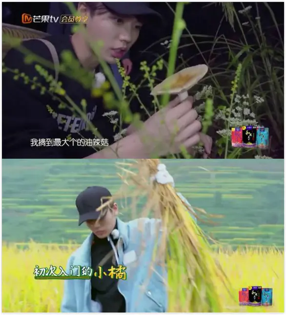 林彦俊出了什么事 林彦俊道歉称自己是单身会规范个人言行-第7张图片-波音达百科