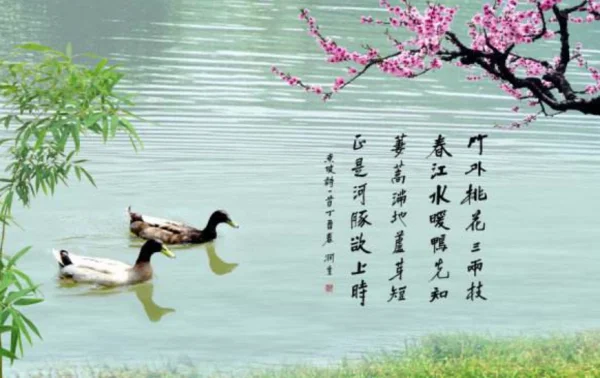 实践出真知的意思是什么 实践出真知的解释-第1张图片-波音达百科