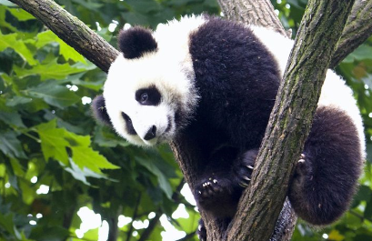 中东地区是哪啊?为什么这么叫啊?中东地区已什么命名的,为什么叫中东地区-第2张图片-波音达百科