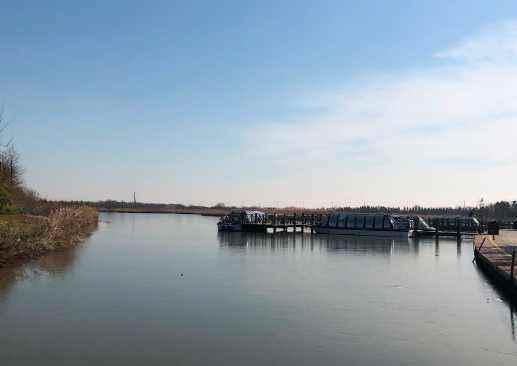 崇明东滩湿地公园有什么景点(崇明岛东滩湿地到西沙湿地公园有多远)-第1张图片-波音达百科