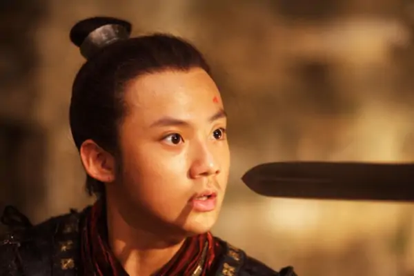 赵氏孤儿电影全集 赵氏孤儿下载 赵氏孤儿在线观看-第12张图片-波音达百科