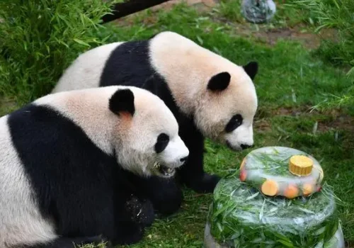 中东地区是哪啊?为什么这么叫啊?中东地区已什么命名的,为什么叫中东地区-第5张图片-波音达百科