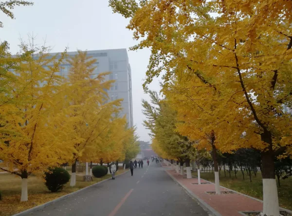 辽宁工业大学研究生院复试名单(辽宁工业大学研究生院今年招多少人)-第1张图片-波音达百科