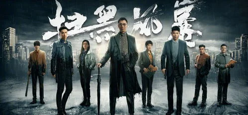 扫黑风暴什么时候能看(扫黑风暴哪里能看)-第5张图片-波音达手游百科