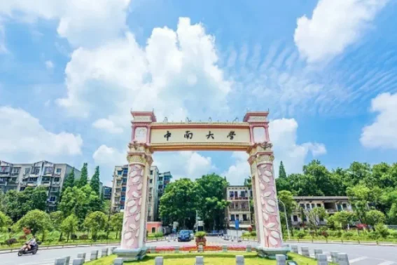 中南大学怎么样在全国排名(中南大学全国排名是多少)-第12张图片-波音达百科