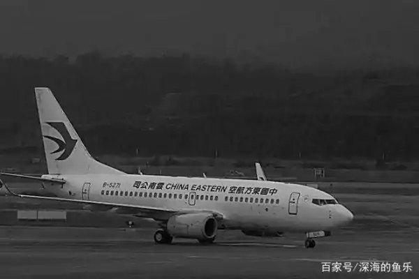 mu5735航班号还在吗?东航mu5735航班满员多少人?-第21张图片-波音达百科