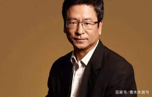 央视主持人白岩松哪去了?央视主持人白岩松的工资-第8张图片-波音达百科