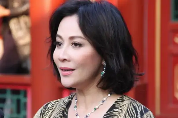 刘嘉玲如何谈绑架案?刘嘉玲被绑架案是什么时候?-第11张图片-波音达百科
