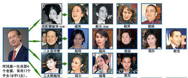 何鸿燊家的关系图(一张图了解赌王何鸿燊家庭关系)-第9张图片-波音达百科