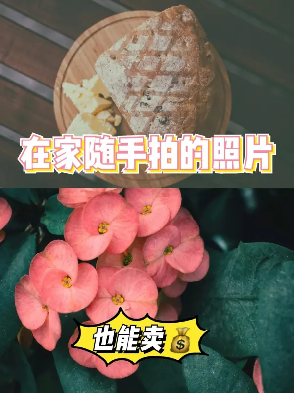 大学生有什么网上赚钱的途径吗(大学生怎么赚钱?可靠的网上赚钱方式有吗)-第5张图片-波音达百科