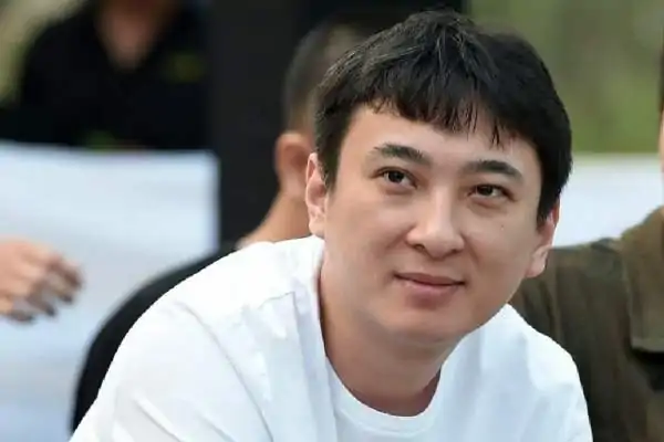 香港王思聪是什么样的人物?王思聪是个怎样的人-第19张图片-波音达百科