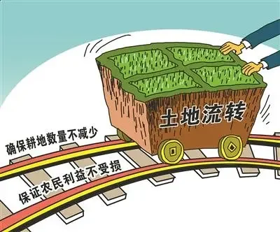 国家土地流转政策是怎样的(土地流转政策的作用)-第6张图片-波音达百科